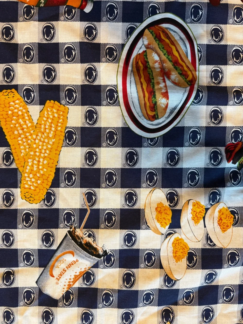 Penn State Nittany Lions tailgate  BBQ themed novelty Print Apron